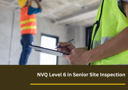 NVQ Level 6 Senior Site Inspection